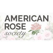 American Rose