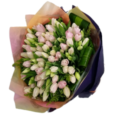 100pcs Holland Tulips Bouquet