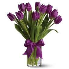 Passionate Purple Tulips