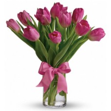 Precious Pink Tulips 