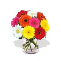 10 Gerbera Vase Bouquet