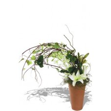 Windswept Arrangement