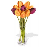 10 Mixed China Tulips Bouquet