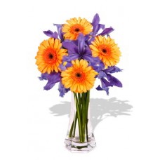 Gerbera and Iris Bouquet