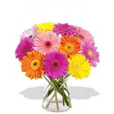 12 Mixed Color Gerberas Vase Bouquet