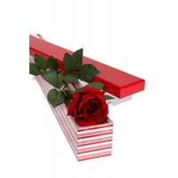 1 Long Stem Premium Rose Presentation Box