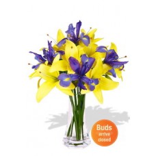 Asiatic Lily and Iris Bouquet Vase Bouquet