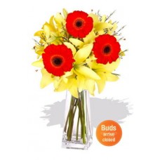 Asiatic and Gerbera Bouquet