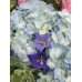 Blue Hygrangea with One Dozen Maria Pink Rose Bouquet