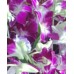 Thailand Grade A Orchids Bouquet